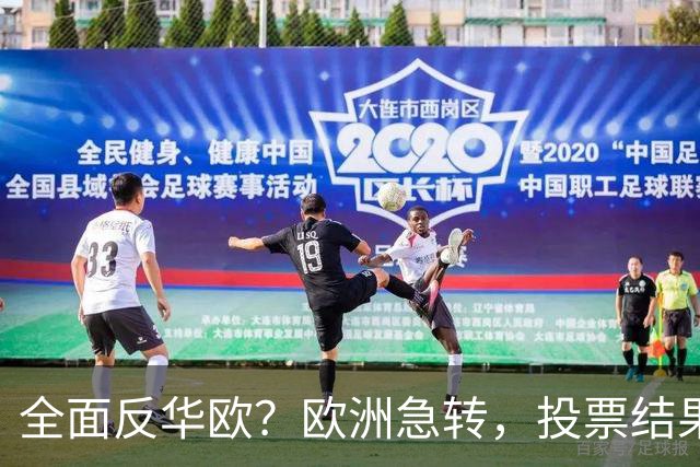 全面反华欧？欧洲急转，投票结果一边倒，欧盟：中国只懂一种语言