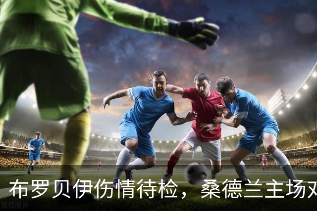 布罗贝伊伤情待检，桑德兰主场对利兹联或让他领衔锋线