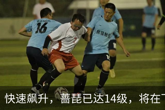 快速飙升，蔷琵已达14级，将在下周进入我国沿海