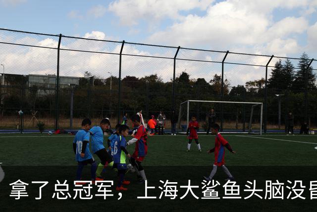 拿了总冠军，上海大鲨鱼头脑没昏