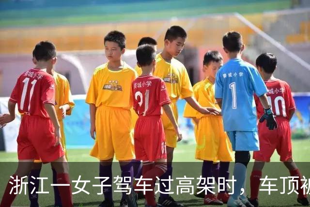 浙江一女子驾车过高架时，车顶被一根风筝线割破，激光雷达几乎被削掉，交警回应