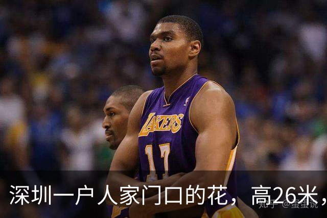深圳一户人家门口的花，高26米，直接爬上9层楼，太壮观了