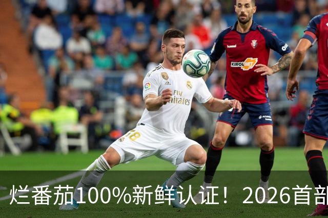 烂番茄100%新鲜认证！2026首部