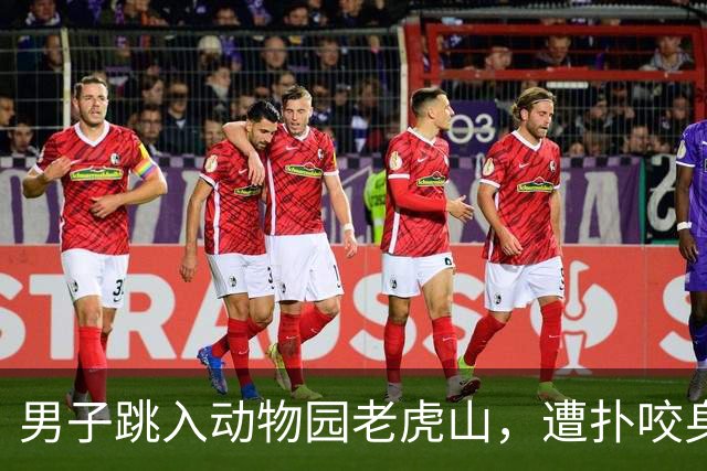 男子跳入动物园老虎山，遭扑咬身亡！现场视频曝光，死前不断向老虎大喊“停下”