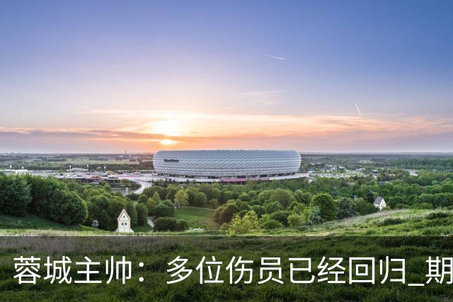 蓉城主帅：多位伤员已经回归 期待主场把这个冠军拿下