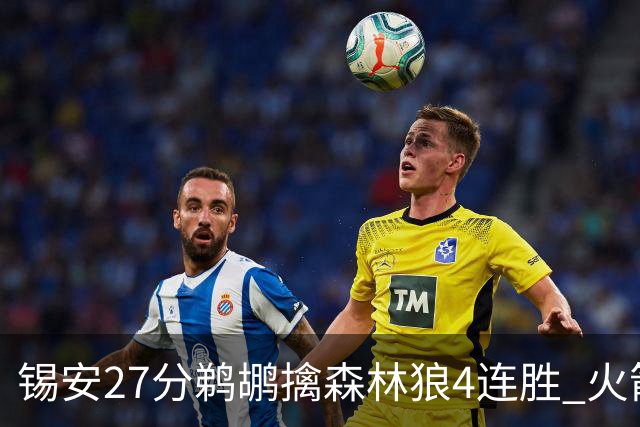 锡安27分鹈鹕擒森林狼4连胜 火箭送篮网5连败