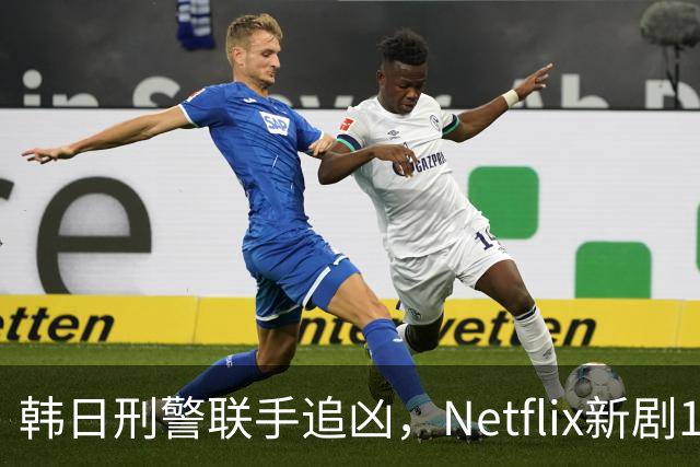 韩日刑警联手追凶，Netflix新剧11月20日上线